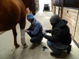 wrap training