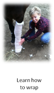 hor leg wrapped