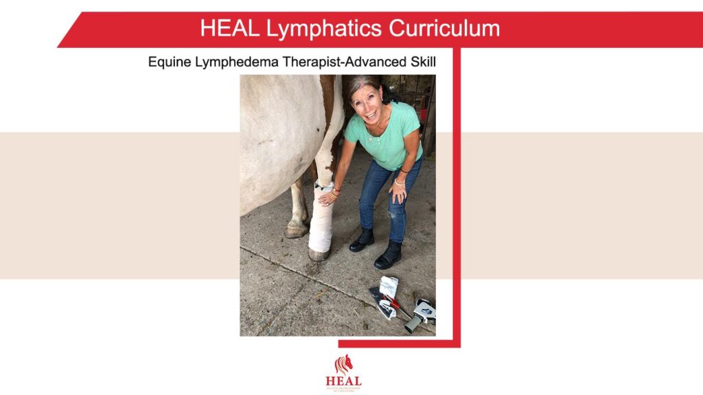 lymphedema therapist