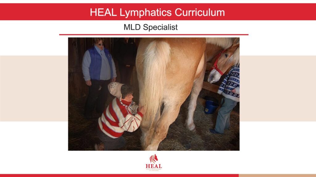 mld specialist