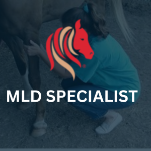 MLD SPECIALIST