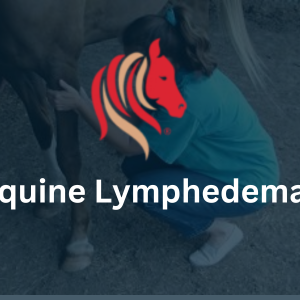 Equine Lymphedema