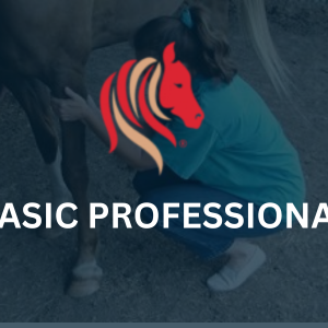 Basic Professional Courses